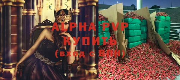 стафф Березники