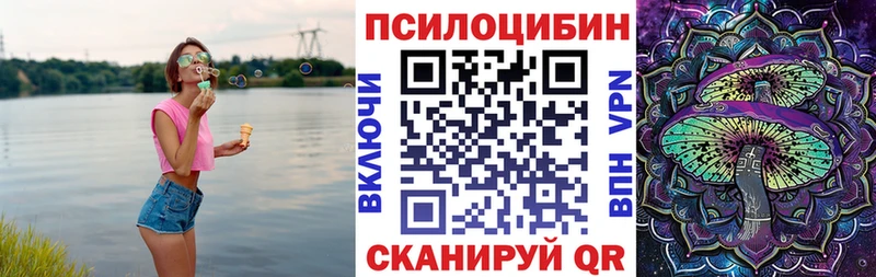 мега как зайти  Арск  Псилоцибиновые грибы мицелий 